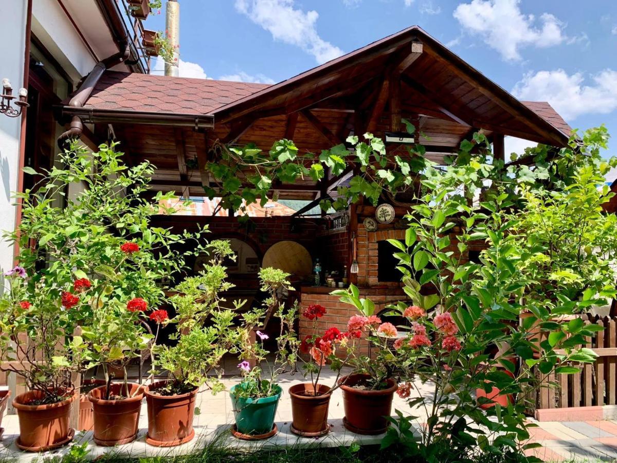 Hotel Casa Olanesti Băile Olăneşti Exterior foto